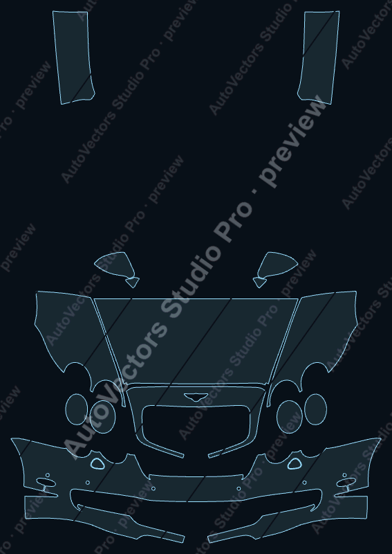Bentley Continental Flying Spur 2006 precut PPF pattern – watermarked preview from the cutting software