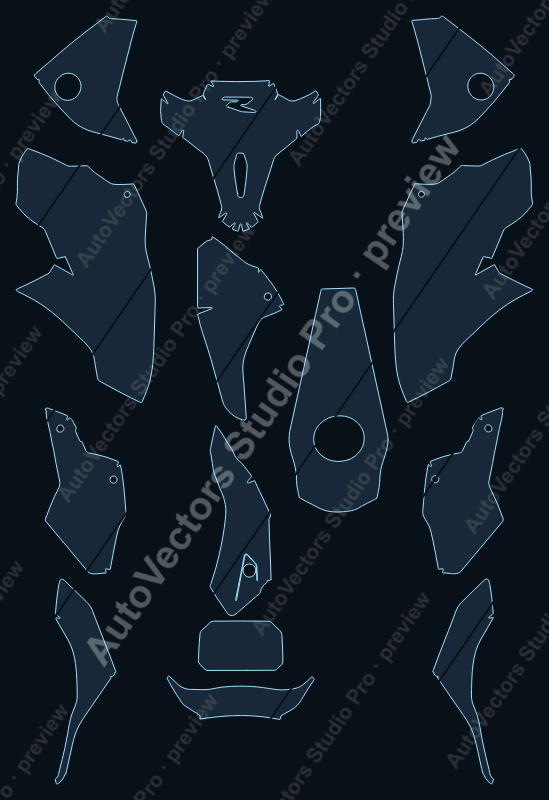 BMW F 900 R 2021 precut motorcycle PPF pattern – watermarked preview from the cutting software