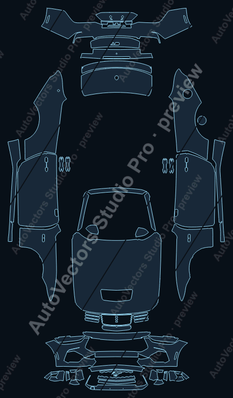 Ford Mustang GT V2 2024 convertible precut PPF pattern – watermarked preview from the cutting software